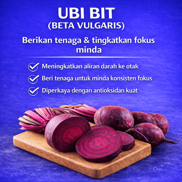 kebaikan Ubi Bit